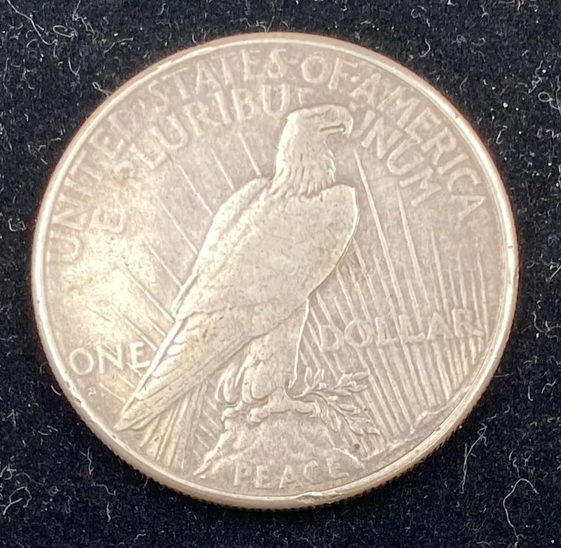 1 dollar 1926: Peace Dollar